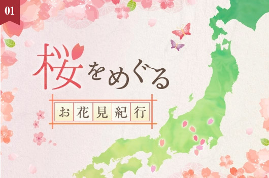 ホテル周辺のおすすめお花見スポットを紹介！「桜を巡る、お花見紀行」