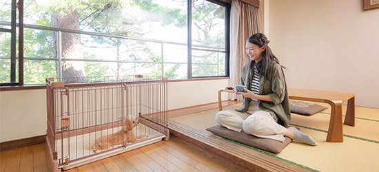 【日曜～金曜泊限定】通常会員料金より3,300円お得！「愛犬宿泊代無料プラン」(素泊まり)