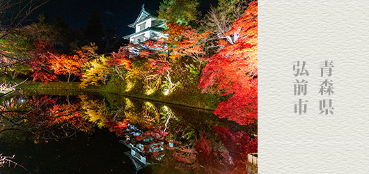 青森県 弘前市　弘前城菊と紅葉まつり