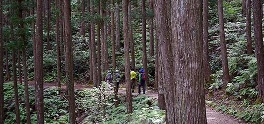 ウェルネスイベント　初心者の方にもおすすめ！世界遺産・熊野古道を旅する「白浜温泉潮騒ウォーク＆熊野古道中辺路ウォーク」