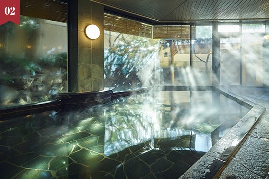 ラフォーレ伊東温泉 湯の庭 1,000円分のホテルクレジット付き「お得に伊東旅」(素泊まり)