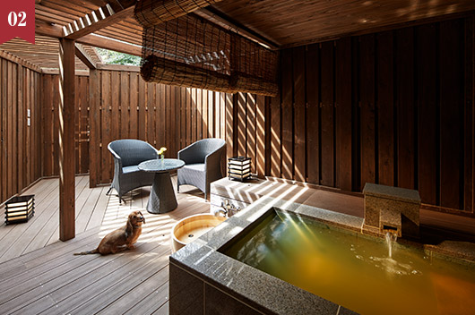 ラフォーレ箱根強羅 湯の棲　会員料金からさらに1,100円OFF「愛犬と温泉を楽しむカジュアルプラン」(2食付)