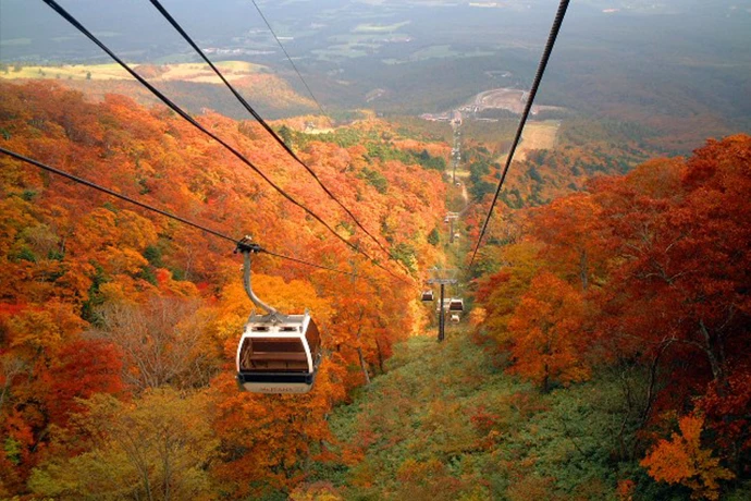 【ディナーを特別価格で】紅葉と温泉を愉しむ大人の休日