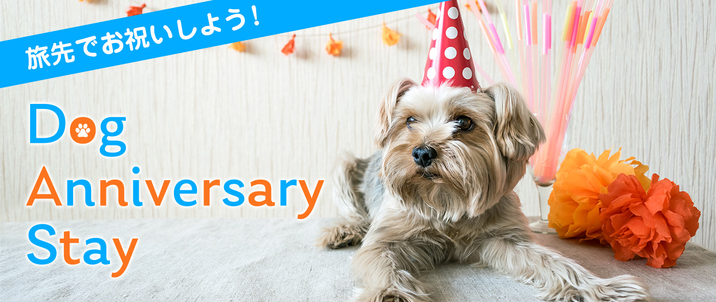 Dog Anniversary Stay