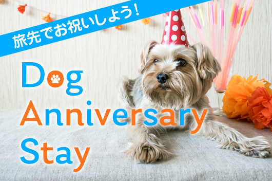 Dog Anniversary Stay