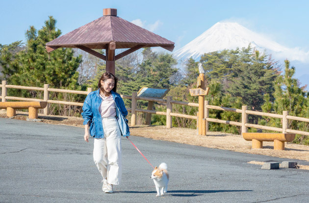 ラフォーレリゾート修善寺