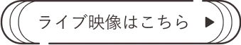 ライブ映像はこちら