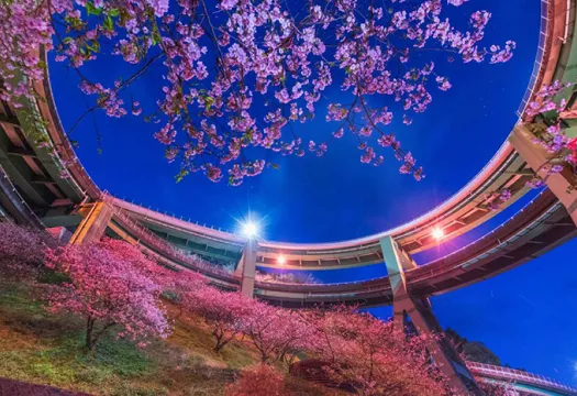 河津七滝ループ橋