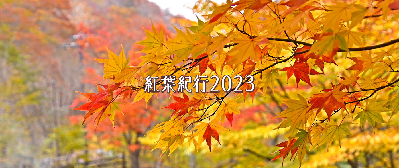 紅葉紀行2023