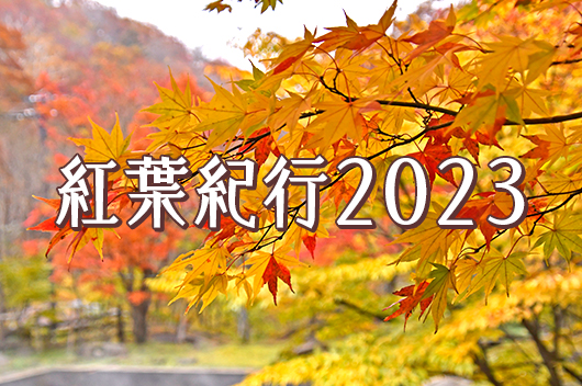 紅葉紀行2023