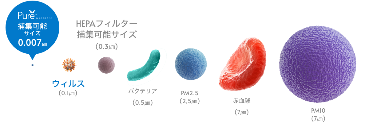 微粒子の大きさ比較