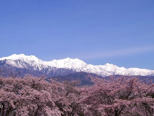 大町公園