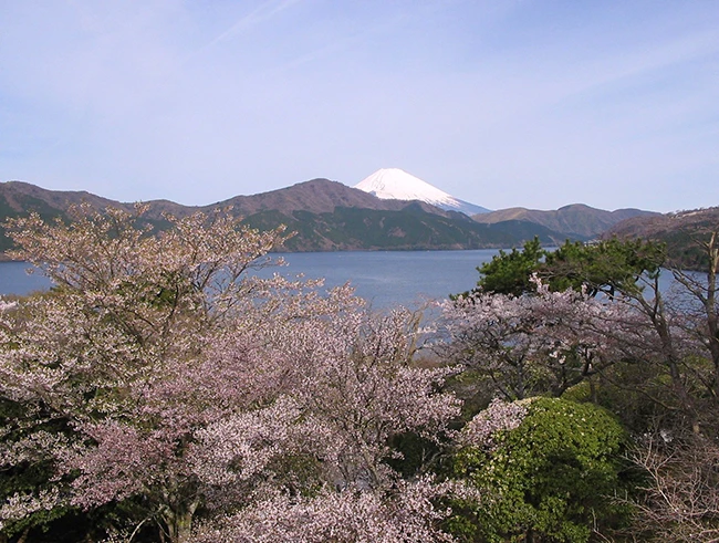 恩賜箱根公園