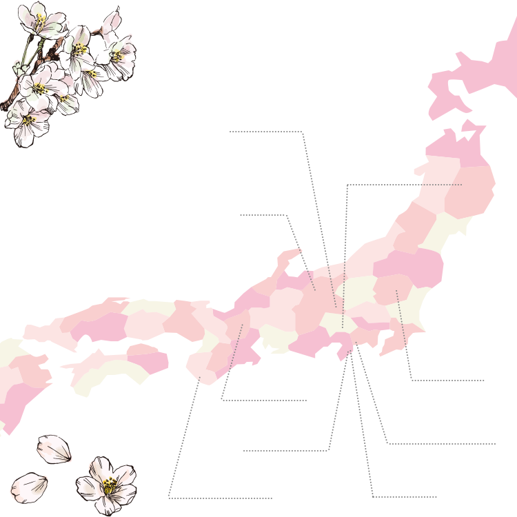 桜をめぐる お花見紀行 公式 ラフォーレ倶楽部