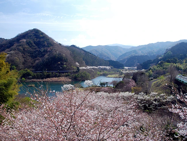 松川湖