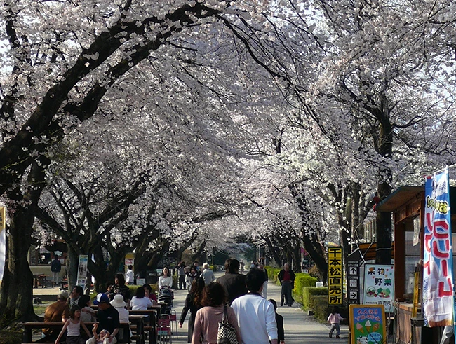 黒磯公園