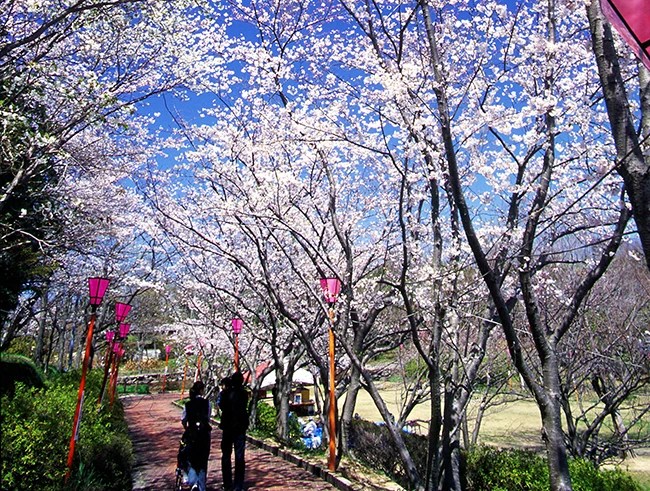 平草原公園