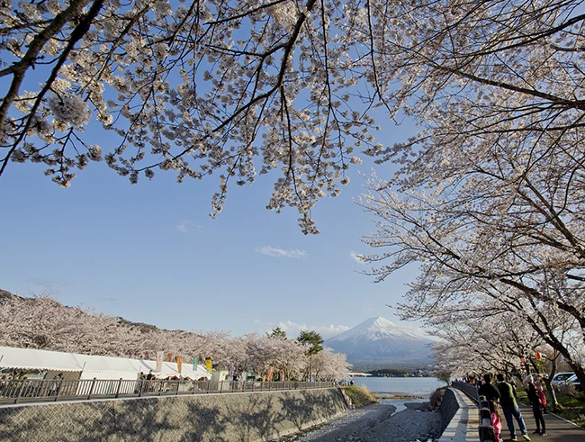 河口湖円形ホール