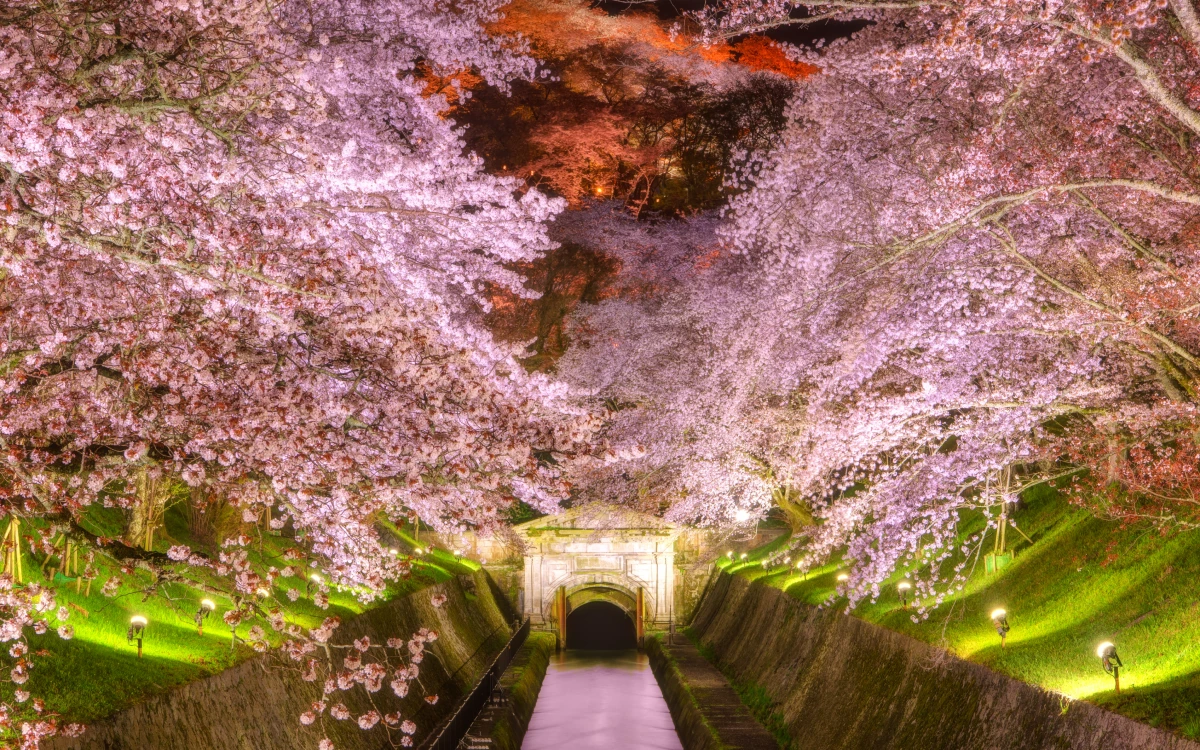 琵琶湖疏水・三井寺（園城寺）