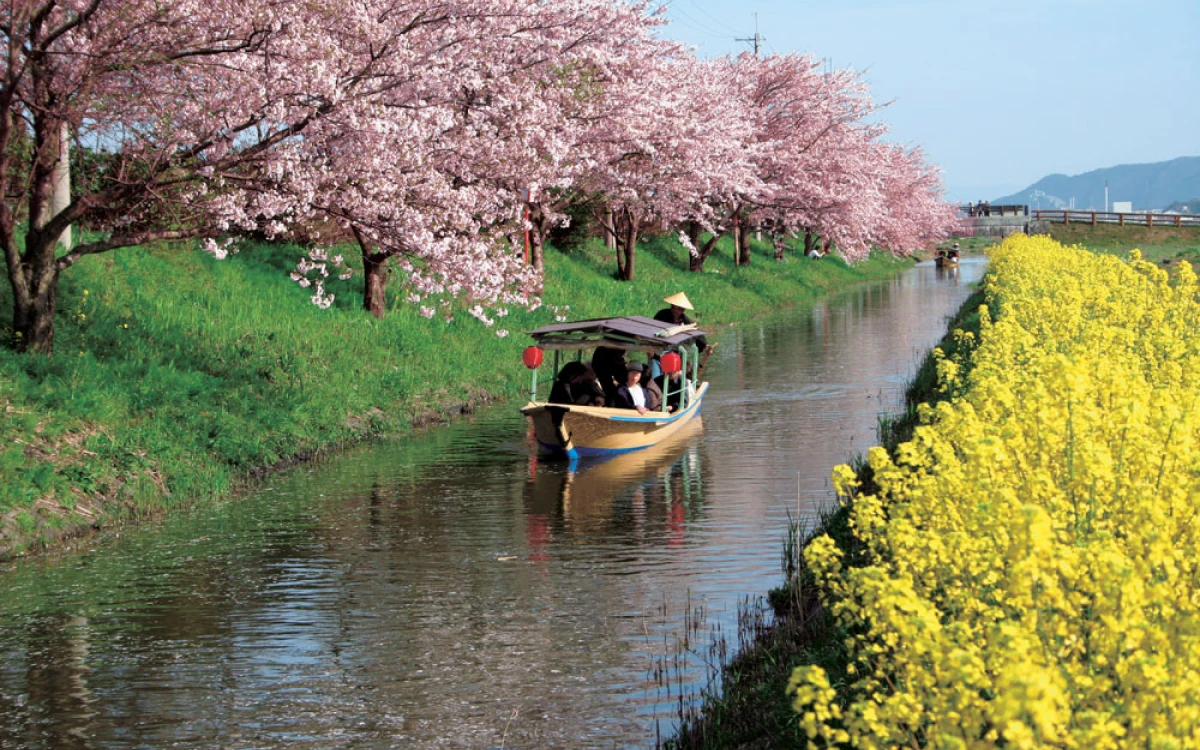 近江八幡水郷めぐり