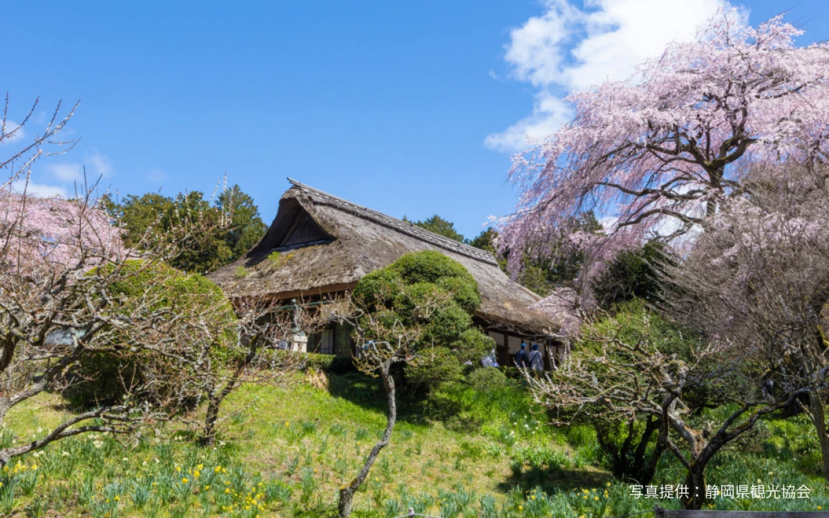 秩父宮記念公園