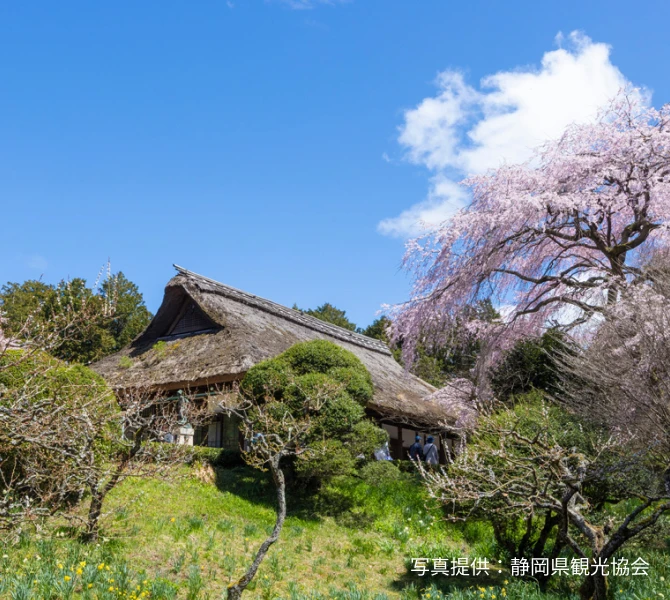 秩父宮記念公園