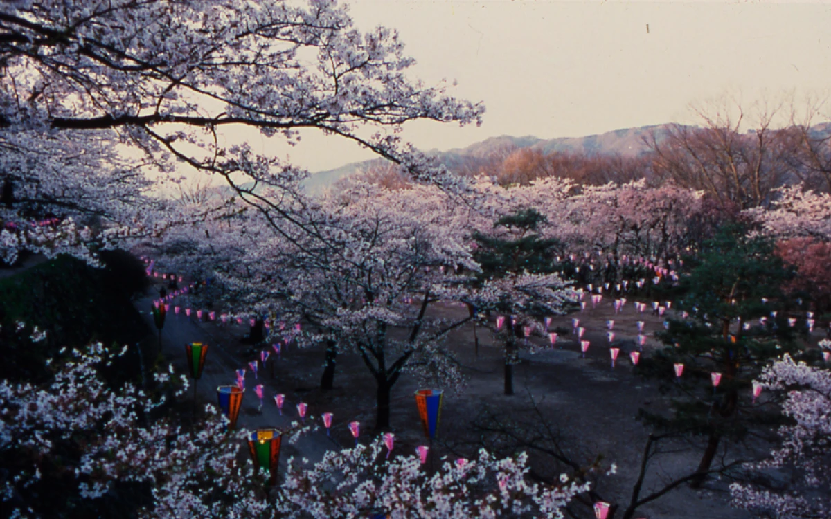 小諸城址・懐古園