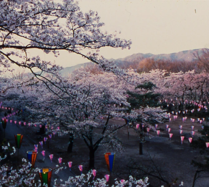小諸城址・懐古園
