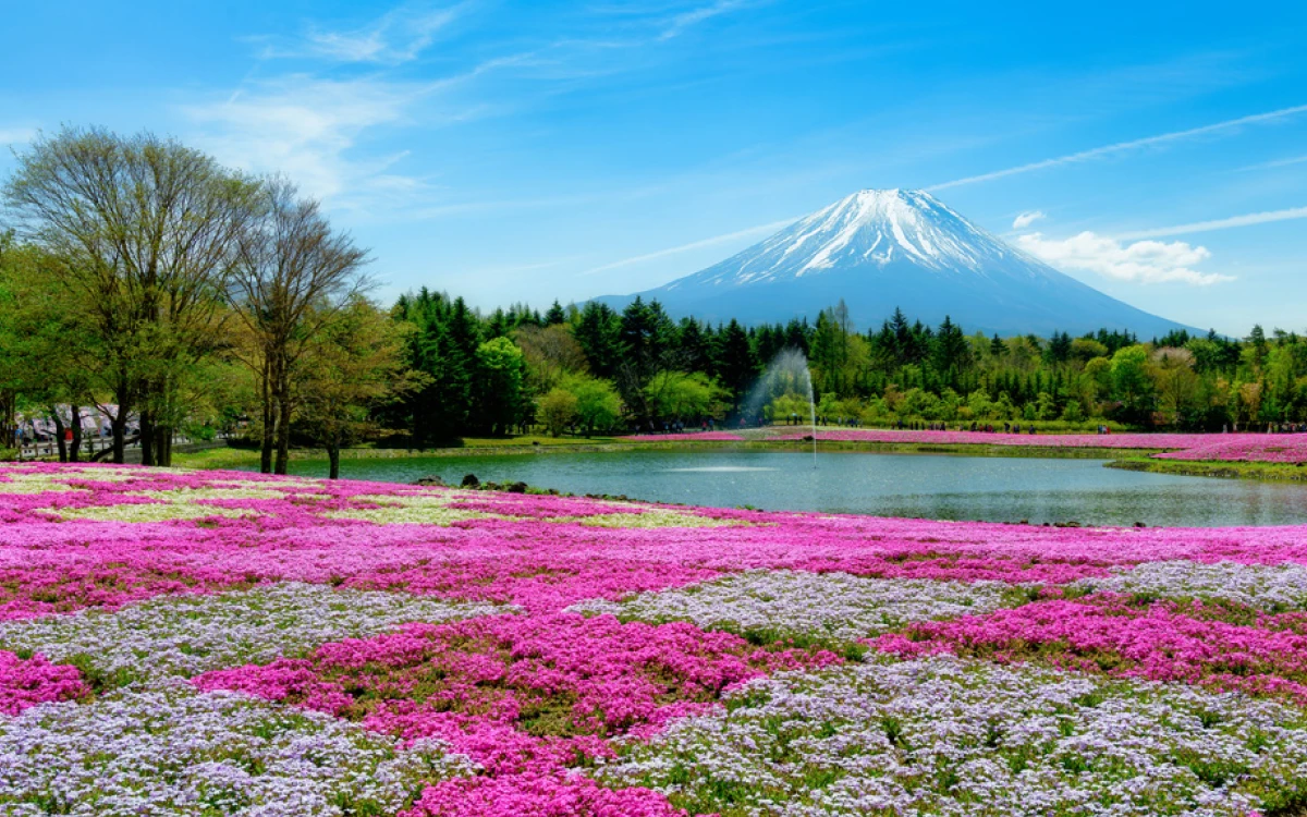 富士本栖湖リゾート