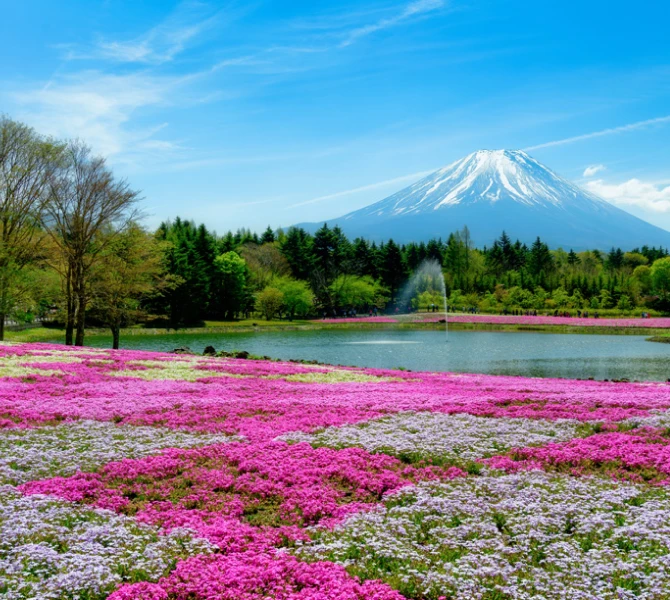 富士本栖湖リゾート