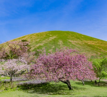 静岡・伊東　伊東市観光課