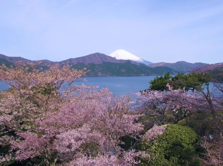 ラフォーレ箱根強羅 湯の棲　季節の体験