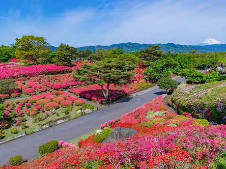 ラフォーレ伊東温泉 湯の庭　季節の体験