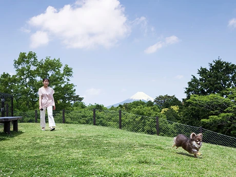 ホテルラフォーレ修善寺　愛犬旅行