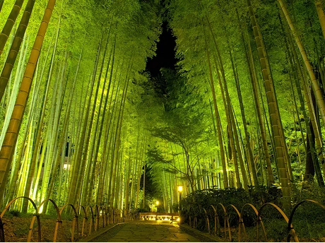 ホテルラフォーレ修善寺　季節の体験