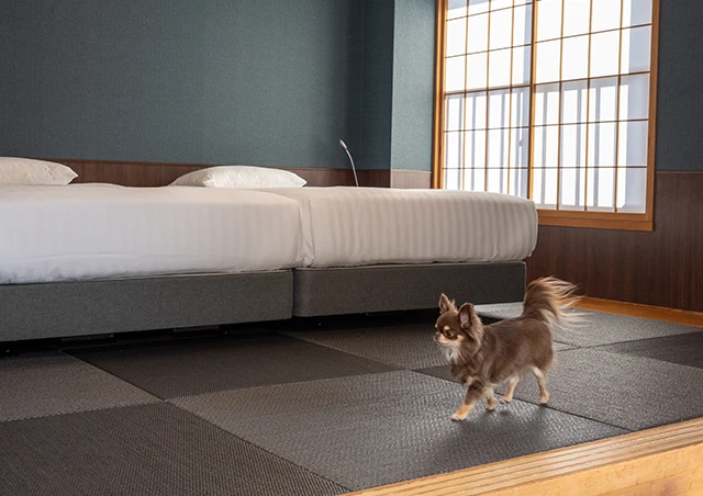 それぞれ魅力の異なる宿