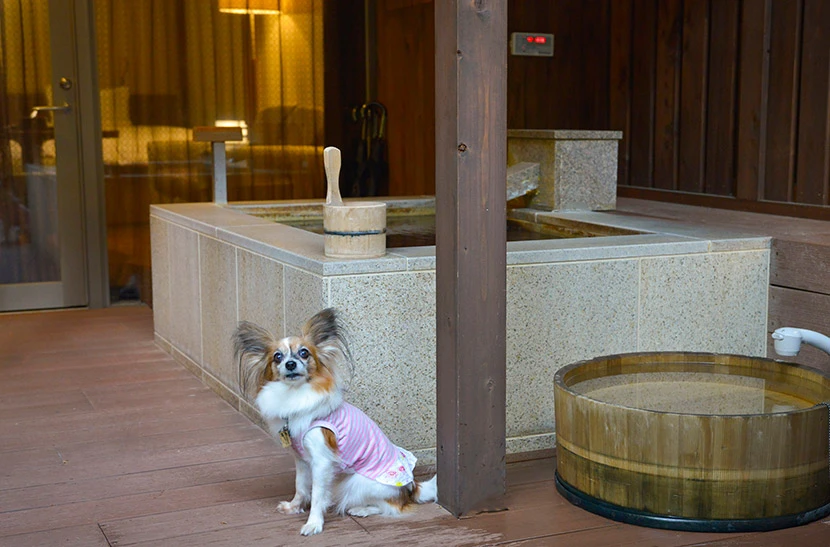 ラフォーレ箱根強羅 湯の棲