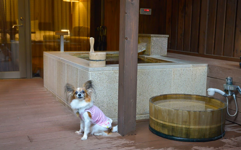 ラフォーレ箱根強羅 湯の棲　ドッグルーム