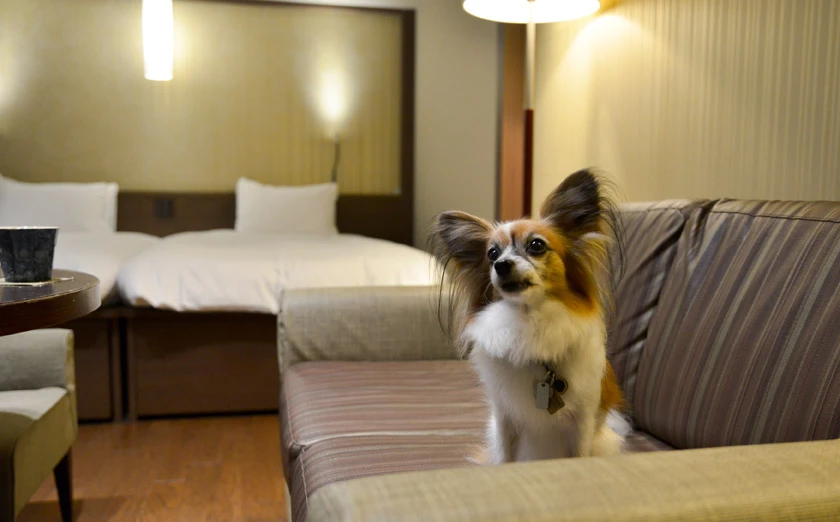 ラフォーレ箱根強羅 湯の棲　ドッグルーム