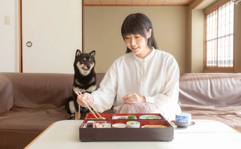 ドッグコテージ