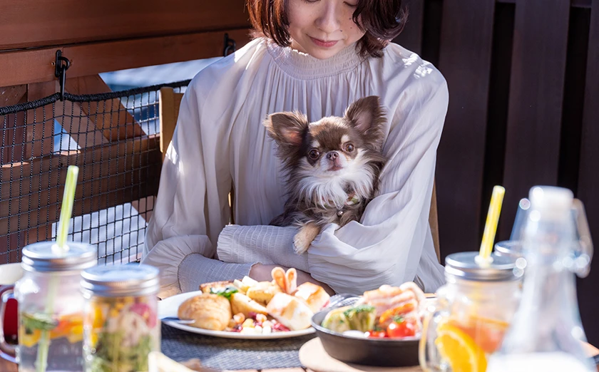 ドッグコンフォートコテージ