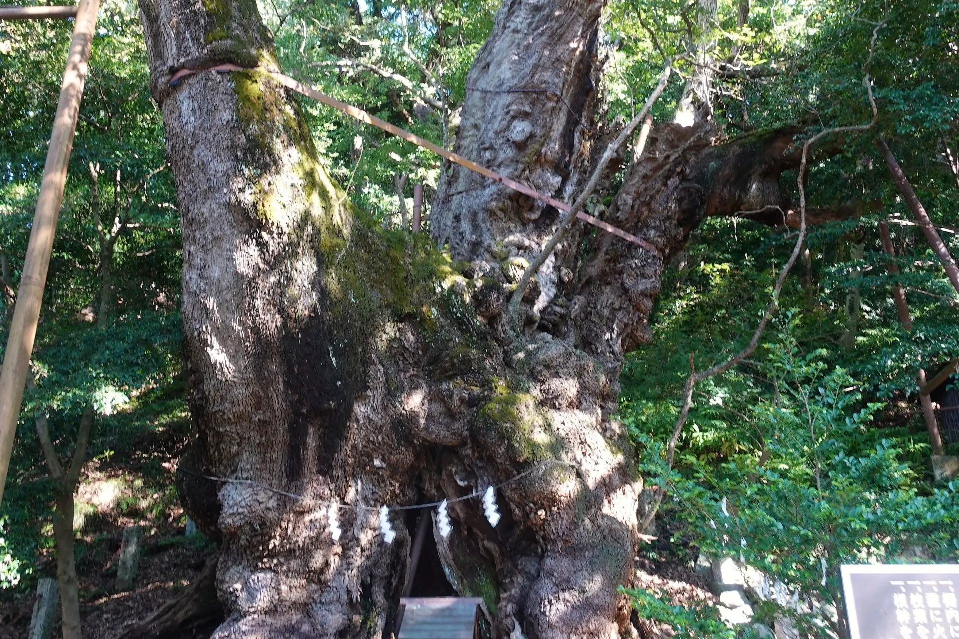 ラフォーレ伊東温泉 湯の庭