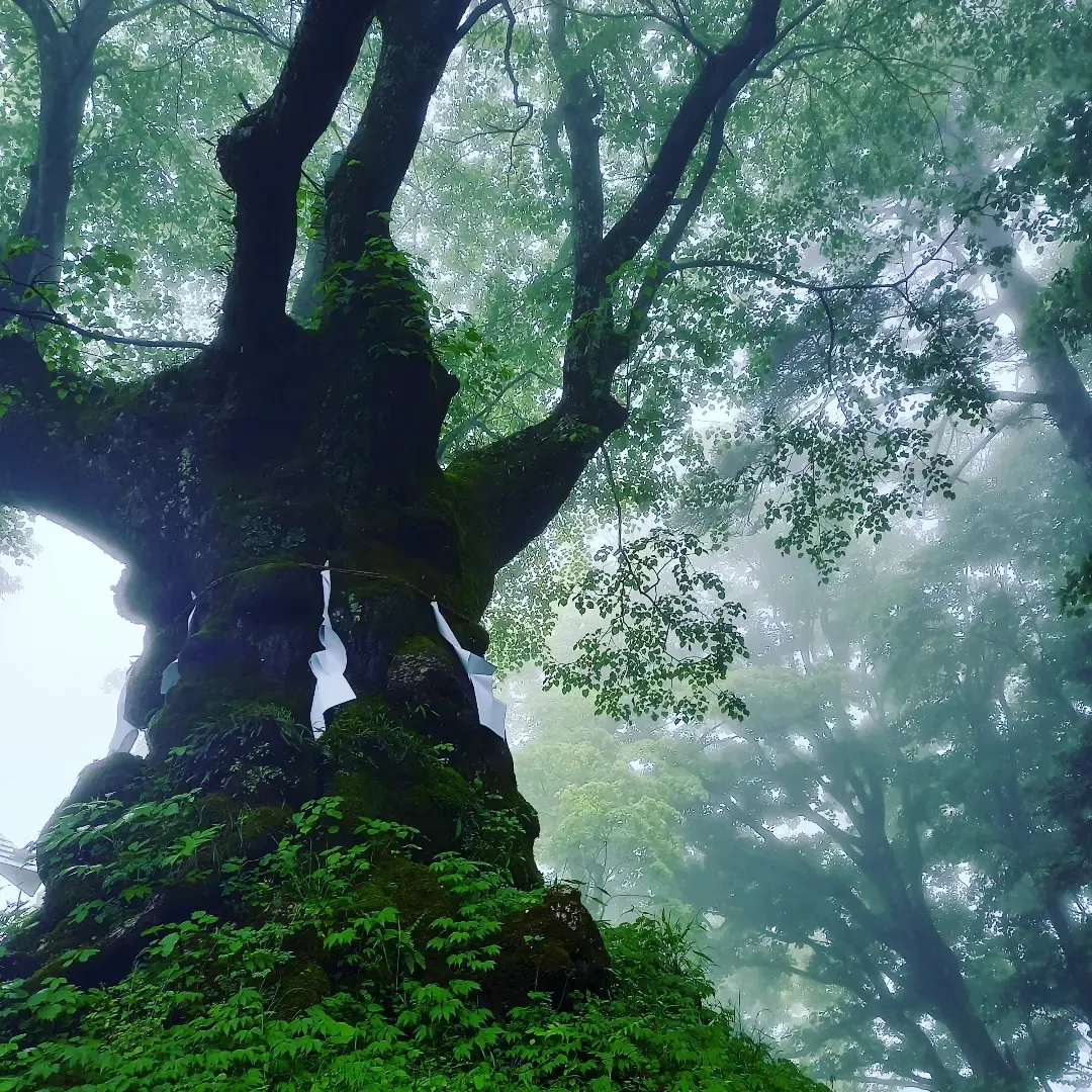 軽井沢マリオットホテル
