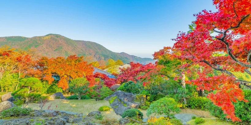 紅葉名所 箱根美術館
