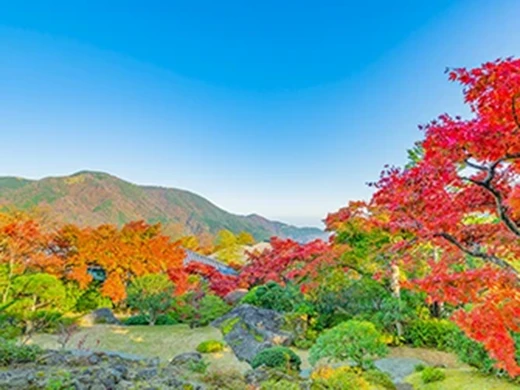 神奈川県 箱根強羅