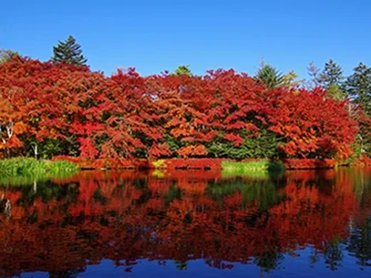長野県 軽井沢