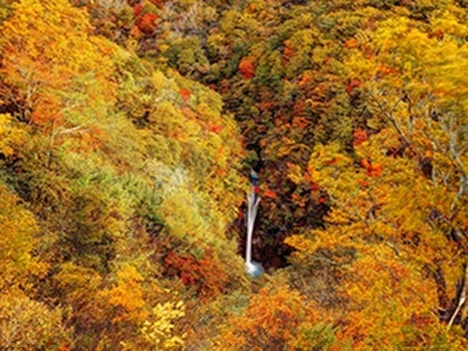栃木県 那須