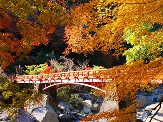 和歌山県 南紀白浜