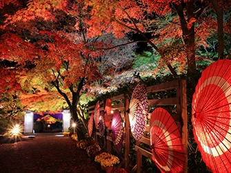 静岡県 修善寺