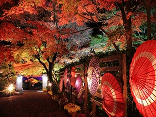 静岡県 修善寺